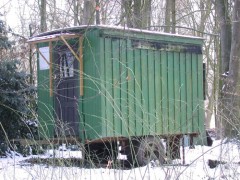 Wald Wagen