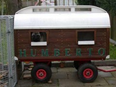 Hundewagen