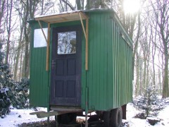 Wald Wagen