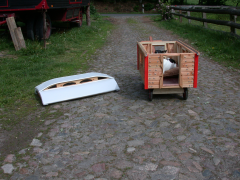 Hundewagen