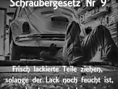 Die Schrauber Gesetze